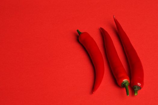 Vegetables and food. Red pepper chili spicy isolated on a red background. High quality photo