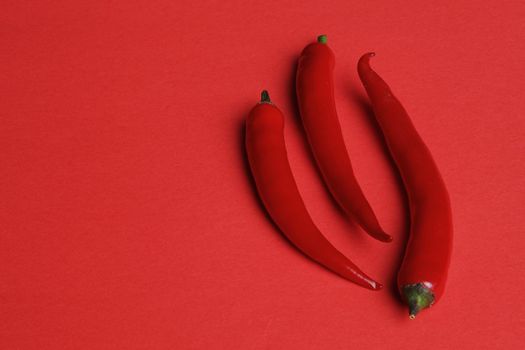 Vegetables and food. Red pepper chili spicy isolated on a red background. High quality photo
