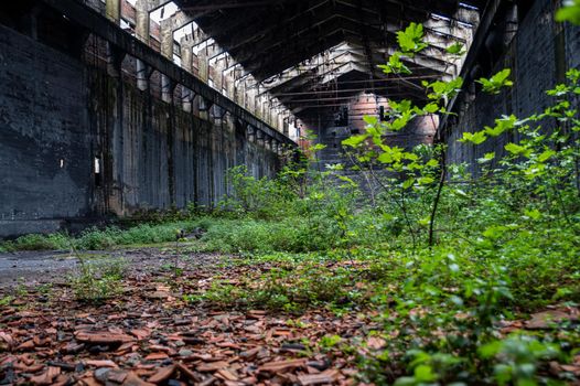 abandoned factory its interior and what remains of it tedriti and nature