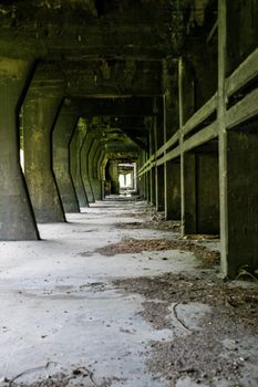 abandoned factory its interior and what remains of it tedriti and nature