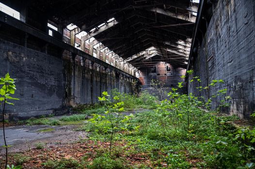 abandoned factory its interior and what remains of it tedriti and nature