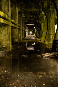 abandoned factory its interior and what remains of it tedriti and nature