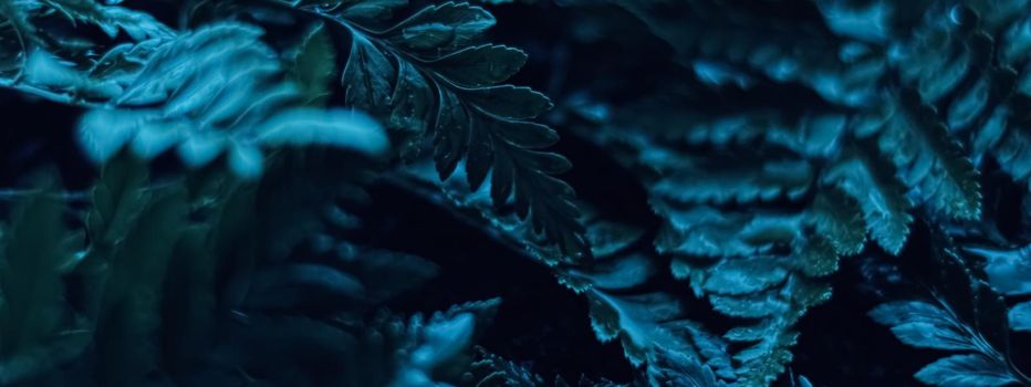 Blue plant leaves at night as surreal botanical background, minimal design backdrop