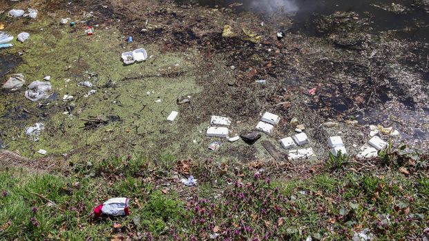 Environmental pollution found at a lake where people dumped their rubbish.