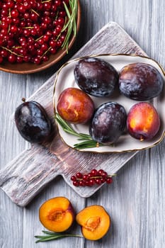 Fresh sweet plum fruits whole and sliced in plate with rosemary leaves on old cutting board with red currant berries in wooden bowl, grey wood background, top view