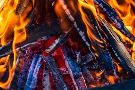 Burning wood chips to form coal. Barbecue preparation, fire before cooking.