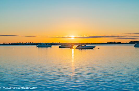 Three boats moored near horizon at sunrise over blue water of Tauranga harbour with intense golden glow of sun on horizon