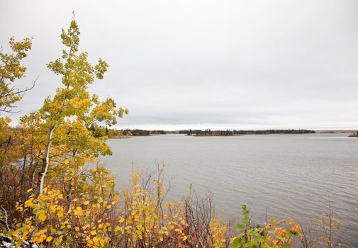 autumn colors by the Astotin lake at Elk Island Park in Alberta 