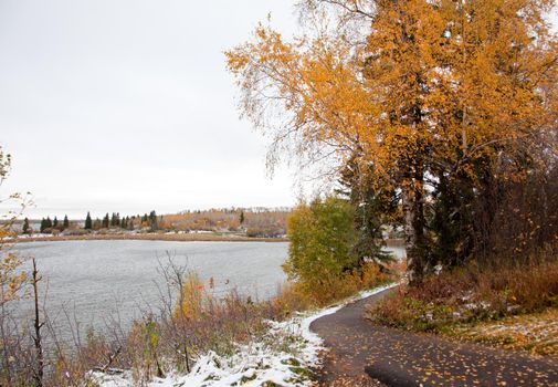  a paved walkway leads around orange autumn trees, beside Astotin Lake at Elk Island Park in Alberta 