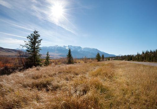 the canadian rocky mountains in Jasper, Alberta with a sun flare above a grassy meadow 