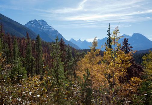an autumn landscape in Canada with mountains and trees