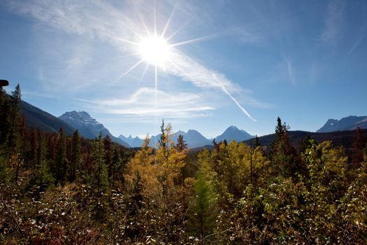  a sun flare above the Canadian Rocky mountains over a forest near Athabasca pass