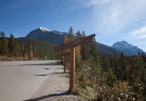 wooden signs showing the direction and distance of Edith Cavell mountain and athabasca pass in Jasper, Alberta 