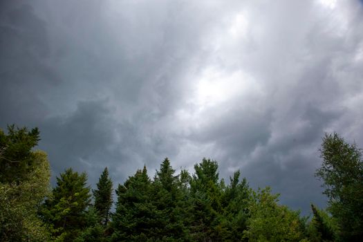  dark grey clouds forming above some trees in canada before a summer storm 