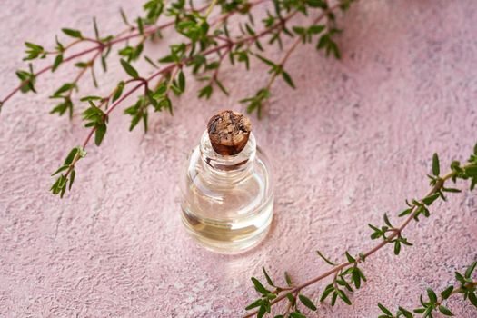 A bottle of essential oil with fresh thyme on pastel pink background