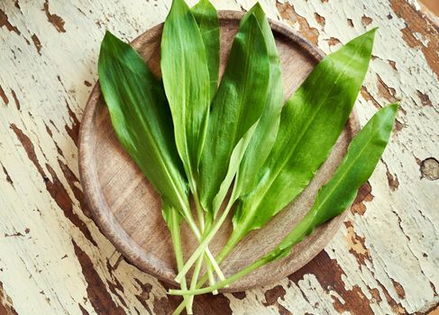Fresh wild garlic leaves on a wooden background, top view