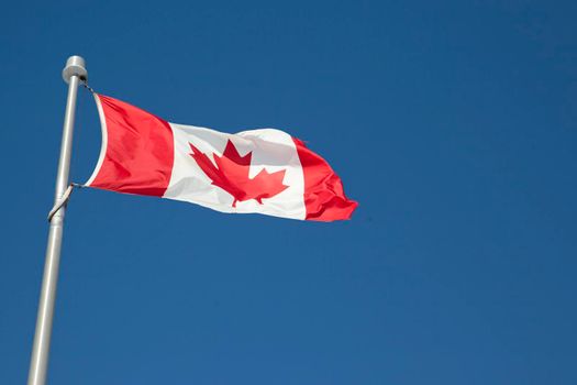 a canadian flag billows in the wind on a blue sky day 