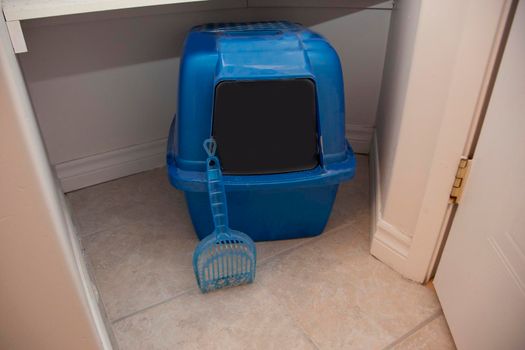 A blue litter box for a cat with a hood and swinging door with a plastic poop scoop in a bathroom 