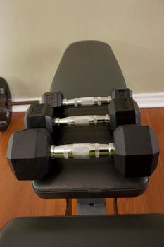 Dumbells lined up ready to be lifted at various weights 
