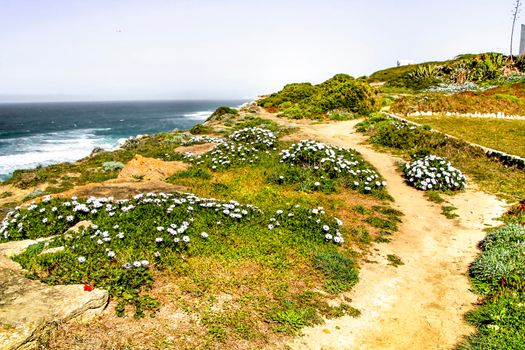 Path between green vegetation and flowers under blue sky in spring in Azenhas do Mar village, Lisbon, Portugal