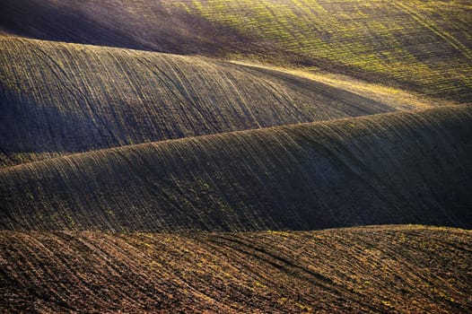 Beautiful spring landscape. Waves on the field - Moravian Tuscany Czech Republic.