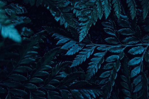 Blue plant leaves at night as surreal botanical background, minimal design backdrop