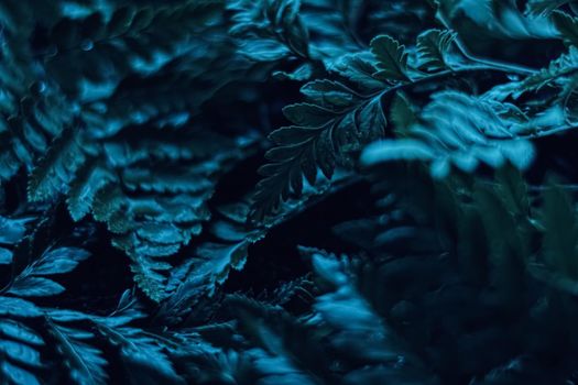 Blue plant leaves at night as surreal botanical background, minimal design backdrop