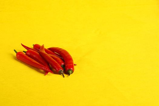 Red pepper pod on a yellow background close-up, isolated, with a place for inscription. High quality photo