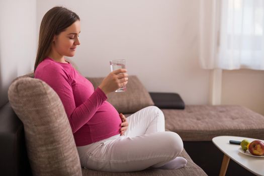 Beautiful pregnant woman enjoys drinking water while  resting on sofa at her home.