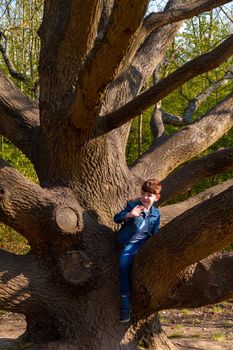 Full-length shot of cute, redhead boy wearing jeans and a blue denim jacket climbing on a bare tree on a sunny day