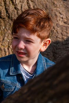 Portrait of cute, redhead boy wearing jeans and a blue denim jacket climbing on a bare tree on a sunny day