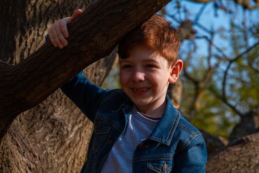 Portrait of cute, redhead boy wearing jeans and a blue denim jacket climbing on a bare tree on a sunny day