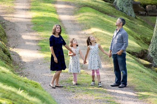 family exploring in the woods looks up to the sky 