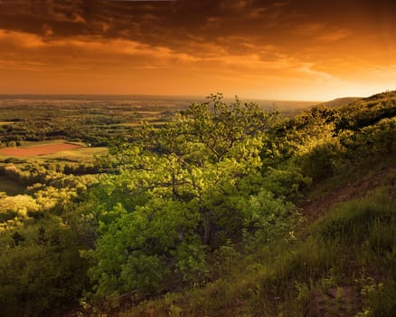  a deep valley, with orange sky and green tree at sunset on a hill