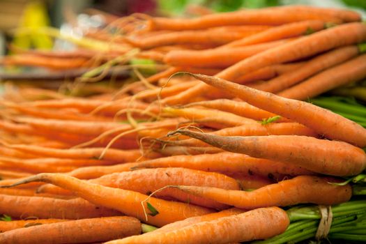  bunches of orange carrots tied togethe with green tops at a market