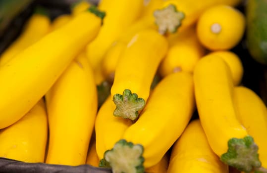 group of organic green zuccini at the market