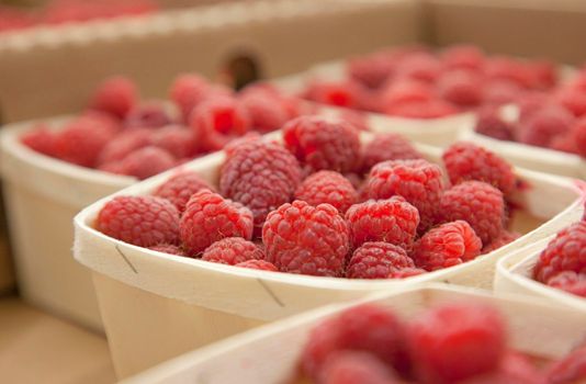  boxes of red fresh raspberries at a market stand