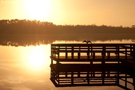a black snake bird sits on a wharf and suns itself as the yellow sun rises or sets