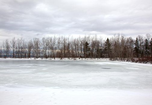 a frozen pond near bare trees in winter with cold sky 