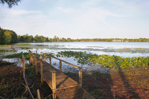 an old pier or wharf falls apart beside a green swamp in southern florida 