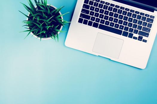 Flat lay of Laptop computer and plant on desk in office, workplace and notebook and keyboard and potted tree, workspace and copy space, top view, object with above, nobody, business concept.