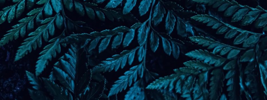 Blue plant leaves at night as surreal botanical background, minimal design backdrop