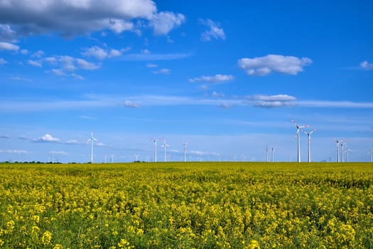 Yellow blooming oilseed rape with wind energy plants in the back seen in rural Germany