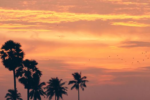 Tropical palm coconut trees on sunset sky flare and bokeh nature colorful copy space summer concept background.