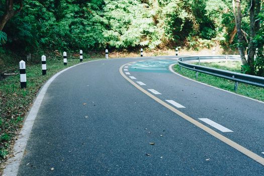 Road with bicycle lane in the country with nature surrounding background.