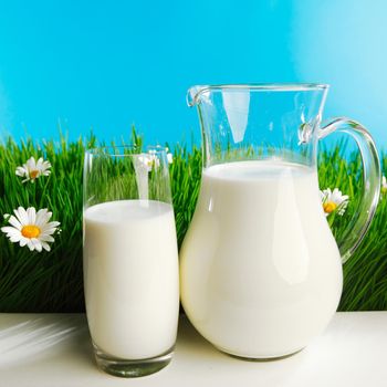 Glass of milk and jar on fresh grass meadow with chamomiles