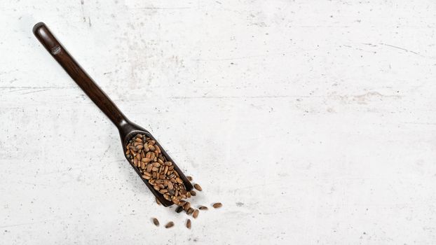 Blessed milk thistle seeds - Silybum marianum - in small wooden spoon on white stone like board, view from above, space for text right side.