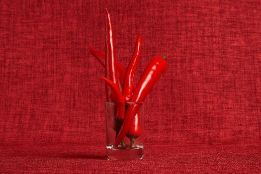 Pepper red chili pod on a red background, close-up. High quality photo