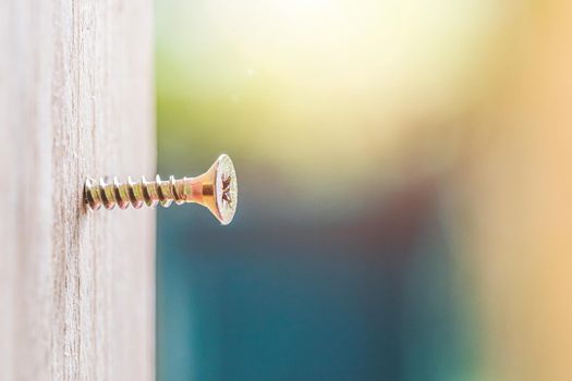 Macro closeup of screw in timber, outdoors