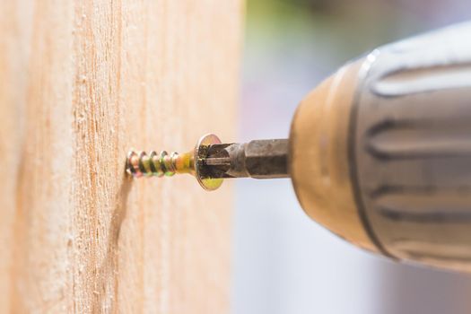 Close up of screw and screwing machine, workshop